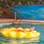 Indoor Swimming Pool, 2/bd, In St Paul 4 thumbnail