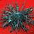 GLITTERED AND SEQUINED BURST ORNAMENT, TURQUOISE (Set of 4) 18 thumbnail