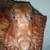 Real Alligator Clutch/Purse Vintage Bag 2 thumbnail