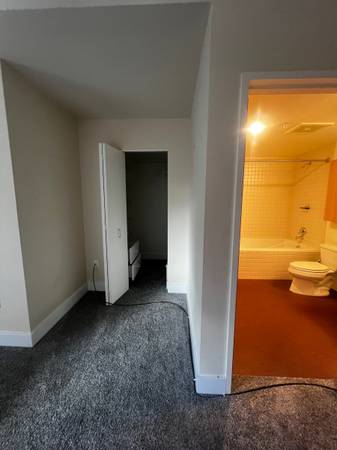 $1,500 / 1br - Shared condo, 1 bed 1 bath available in 2/2 downtown Capitol Hill (Seattle)63944965558786124
