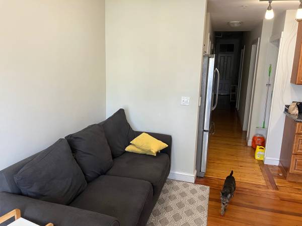 $1,100 / 5br - Room available in a 5 bed, 2 bath apartment near Central Square (Cambridge)63817539847427123
