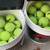 Pressureless Tennis Balls 1 thumbnail