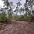 *** OFF GRID LOT *** .25 Acres / Cleared/ MH Ready 10 thumbnail