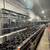 COMMERCIAL RESTAURANT EQUIPMENT GREAT PRICES!!! 18 thumbnail