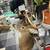HUGE deer buck taxidermy head bust vintage 5 thumbnail