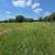 Need pasture baled 3 thumbnail