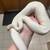 BEL ball python 3 thumbnail