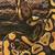 female python 5 thumbnail