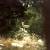 Goliath, Giant 4'x8' Wood 2-man Classic Deer Blind 23 thumbnail