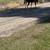 Racking Mare 4 thumbnail