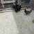 Chickens 7 thumbnail