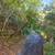 1.75 acres in Bay Area for $170,000....um, what? 1 thumbnail