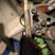 AR Velocity Compound Bow with Arrows and Case 19 thumbnail