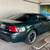 2001 Ford GT Mustang Bullit #3106 V8 4.6L 1 thumbnail