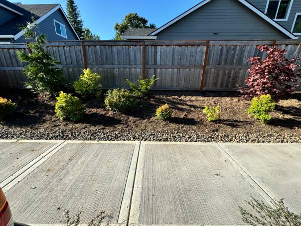 Junk haul and weeds removal (Vancouver)63958289376771123
