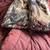 Adult Sleeping Bag 2 thumbnail
