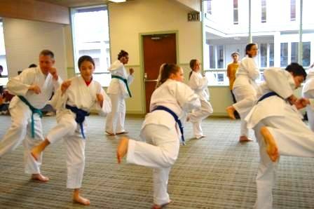 Free Tae Kwon Do Classes For A Month 1