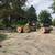 Tree removal service  and landscaping 8 thumbnail