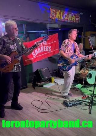 EXPERIENCED PARTY COVER BAND FOR HIRE : THE PEPPER SHAKERS LIVE MUSIC! 1
