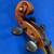 Violin Stainer 4/4, case bow 3 thumbnail