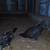 Gamefowl 2 thumbnail