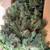 Christmas Tree 7.5 ft. 6 thumbnail