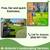 🟢AP PRO Landscaping, Pavers, Artificial Grass, Trees. Estimates🟢 1 thumbnail
