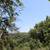 10.82 Acres in the Sierras - Seller Financing 5 thumbnail