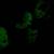 R MARINO  vintage 90s 3D GLOW IN THE DARK  wall heads 21 thumbnail