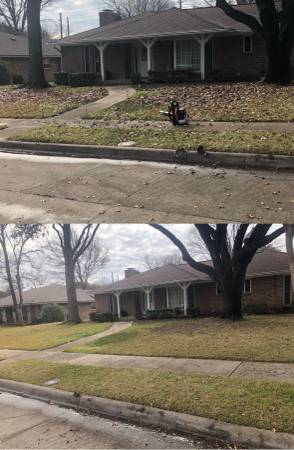 LEAF CLEANUP-Plano-prices starting at $40 1