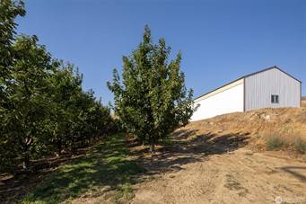 $799,000 NE 10th street (East Wenatchee)63493873823747122