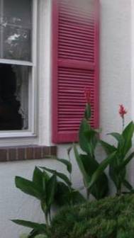 Needing a pair of shutters 1