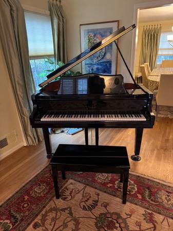 PLAYER Baby Grand Piano 1