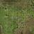 0.31 Acres of Exclusive Land for Outdoor Fun 3 thumbnail
