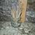 Vintage Glass Toothpick Holder 4 thumbnail