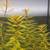 Aquarium plants 2 thumbnail