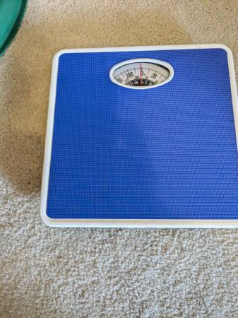 Scale 1