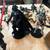 Star Wars figures & 2004 Millenium Falcon lot 9 thumbnail