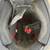 BiLT Discovery Helmet -size S  clean inside /scuffs scratches exterior 6 thumbnail