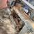 Metal Cutting Band Saw 6 thumbnail