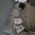 Couch/Loveseat 3 thumbnail