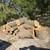Firewood Delivered UT Graduation LONGHORN SALE !! Special 12 thumbnail