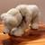 Boyds Collection Polar Bear Plush Jointed 12" Stuffed Animal (Tinkin) 2 thumbnail