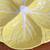 Choice of Portuguese Cabbage Ware Bordhallo Pinheiro Plates Bowls Dish 19 thumbnail