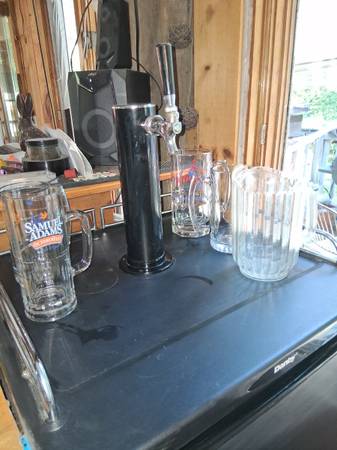 Danby kegorator 1