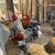 Chicks  Brahmas chicks available 2 thumbnail