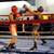 Private Boxing Lessons 4 thumbnail