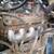 2002 GMC vortec 496 engine 6 thumbnail