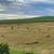 Grass hay, small bales Sunshine Road 3 thumbnail