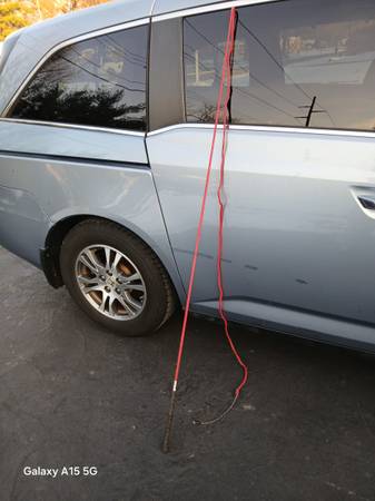 Horse Carriage Whip 1